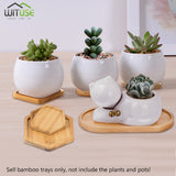 Flower Pots Nursery Planter Bamboo Tray Anti-Fade 14 Style Round Square Minimalism Gardening Supply Simple Rural Style Holder