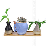 Flower Pots Nursery Planter Bamboo Tray Anti-Fade 14 Style Round Square Minimalism Gardening Supply Simple Rural Style Holder