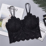 2020 New Arrival Women Push Up Wireless Lace Bra Top Women Plus Size Bralette Underwear Lingerie Full Cup - ENSEIGNE DENIS