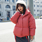 Korean Style 2019 Winter Jacket Women Stand Collar Solid Black White Female Down Coat Loose Oversized Womens Short Parka - ENSEIGNE DENIS