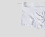 ORLVS Mens Boxer Sexy Underwear soft long boxershorts Cotton soft Underpants Male Panties 3D Pouch Shorts Under Wear Pants Short