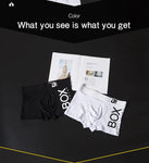 ORLVS Mens Boxer Sexy Underwear soft long boxershorts Cotton soft Underpants Male Panties 3D Pouch Shorts Under Wear Pants Short