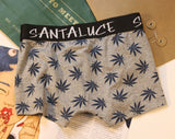 Cotton Men's Underwear Boxer Maple Leaf Breathable Personality Boy Boxer Personality Fit Sports Boxer Shorts Men's Panties