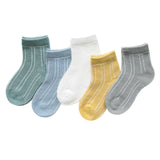 5Pairs/lot 0-2Y Infant Baby Socks Baby Socks for Girls Cotton Mesh Cute Newborn Boy Toddler Socks Baby Clothes Accessories - ENSEIGNE DENIS