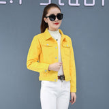 Jeans Jacket and Coats for Women 2019 Autumn Candy Color Casual Short Denim Jacket Chaqueta Mujer Casaco Jaqueta Feminina - ENSEIGNE DENIS