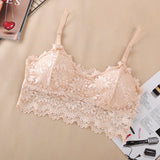 2020 New Arrival Women Push Up Wireless Lace Bra Top Women Plus Size Bralette Underwear Lingerie Full Cup Hot - ENSEIGNE DENIS