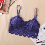 2020 New Arrival Women Push Up Wireless Lace Bra Top Women Plus Size Bralette Underwear Lingerie Full Cup Hot - ENSEIGNE DENIS