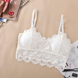 2020 New Arrival Women Push Up Wireless Lace Bra Top Women Plus Size Bralette Underwear Lingerie Full Cup Hot - ENSEIGNE DENIS