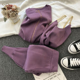 2020 autumn Knitted sweater suit casual new product temperament chain vest knitted jacket + elastic pants three-piece sets TZ423