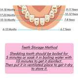 Baby Tooth Box Spanish/Dutch/French/German Wooden Kids Milk Teeth Organizer Storage Boys Girls Baby Souvenirs Gifts Keepsakes