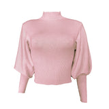 Turtleneck Woman Sweaters Fall Long Sleeve Knitted Sweaters for Women Winter Clothes Women's Crop Top Jumper Cropped Sweater