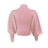 Turtleneck Woman Sweaters Fall Long Sleeve Knitted Sweaters for Women Winter Clothes Women's Crop Top Jumper Cropped Sweater