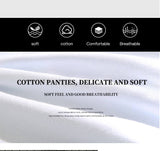 4pcs Male Panties Cotton Men's Underwear Boxers Breathable Man Boxer Solid Underpants Comfortable Brand Shorts men underwear 365