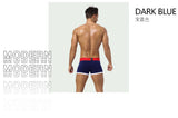 BS Cotton Boxershorts Men Comforable Panties Set трусы мужские боксеры  Gay Sexy Underwear Man Boxer 5Color Free Shiping