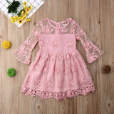 6M-5T Toddler Kids Baby Girls Princess Lace Dress Clothing Child Gir